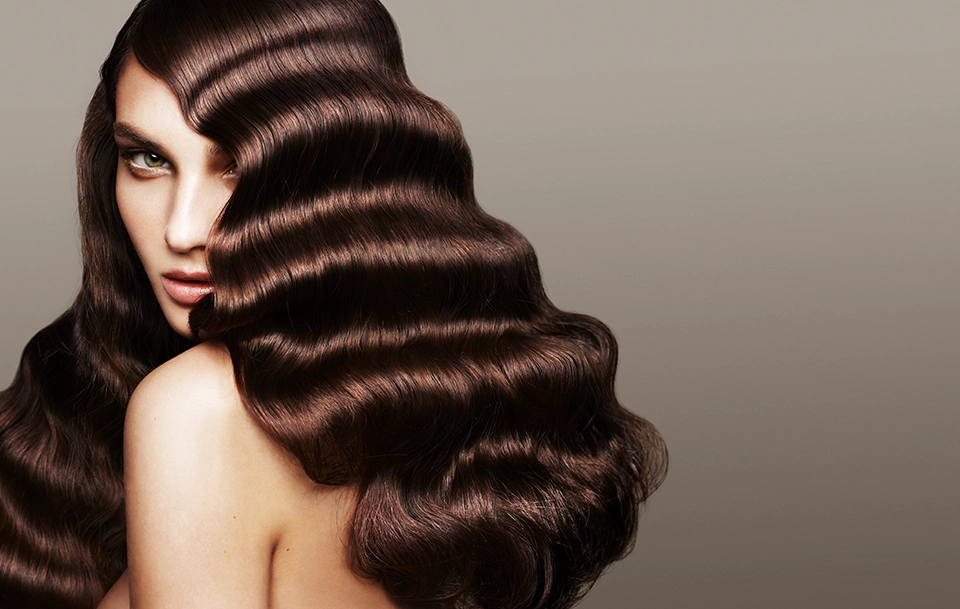 Колористика